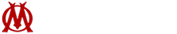 Logo-Light
